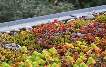 the cost of Glenbreck green roof installation